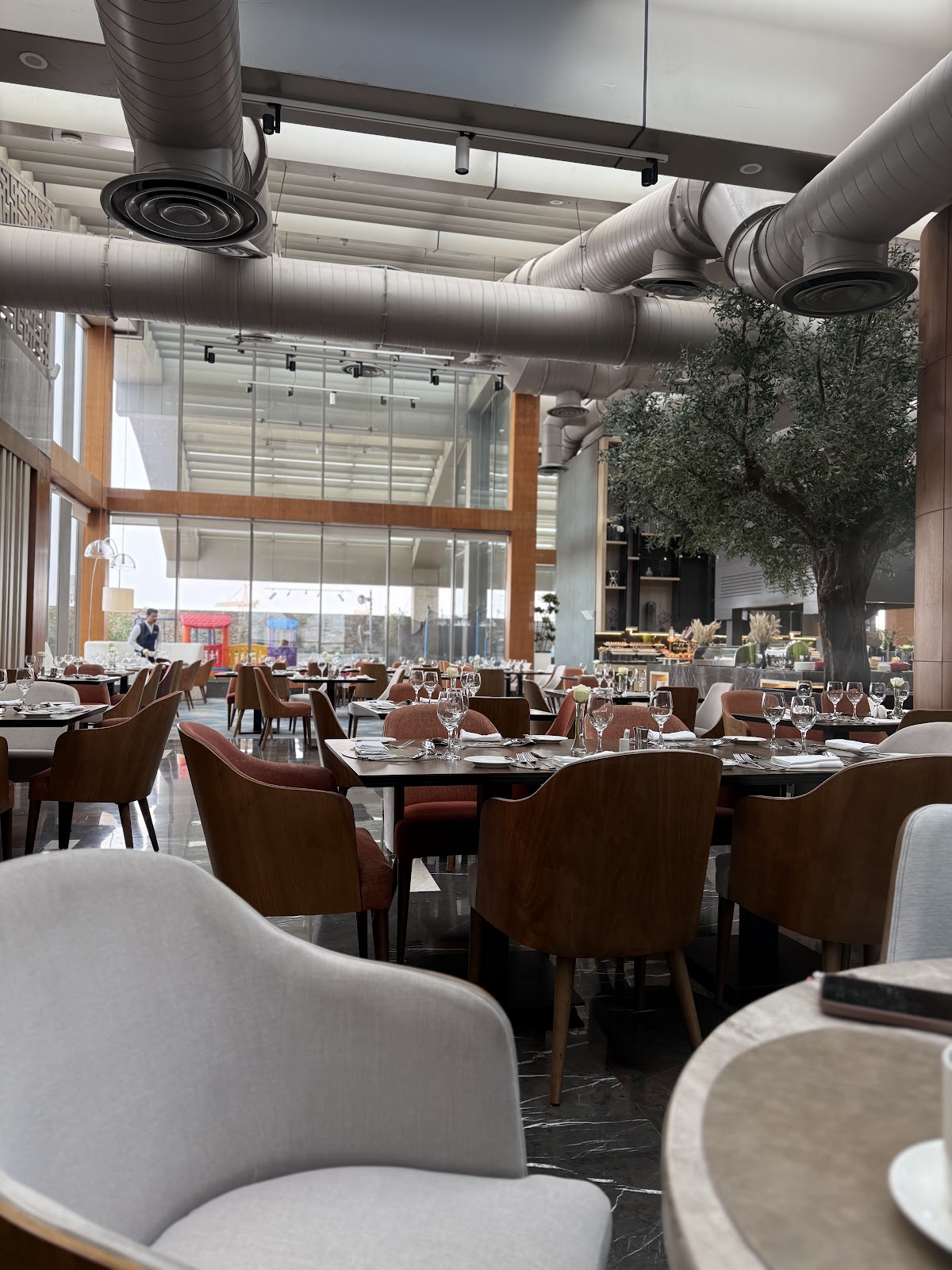 Olive Tree