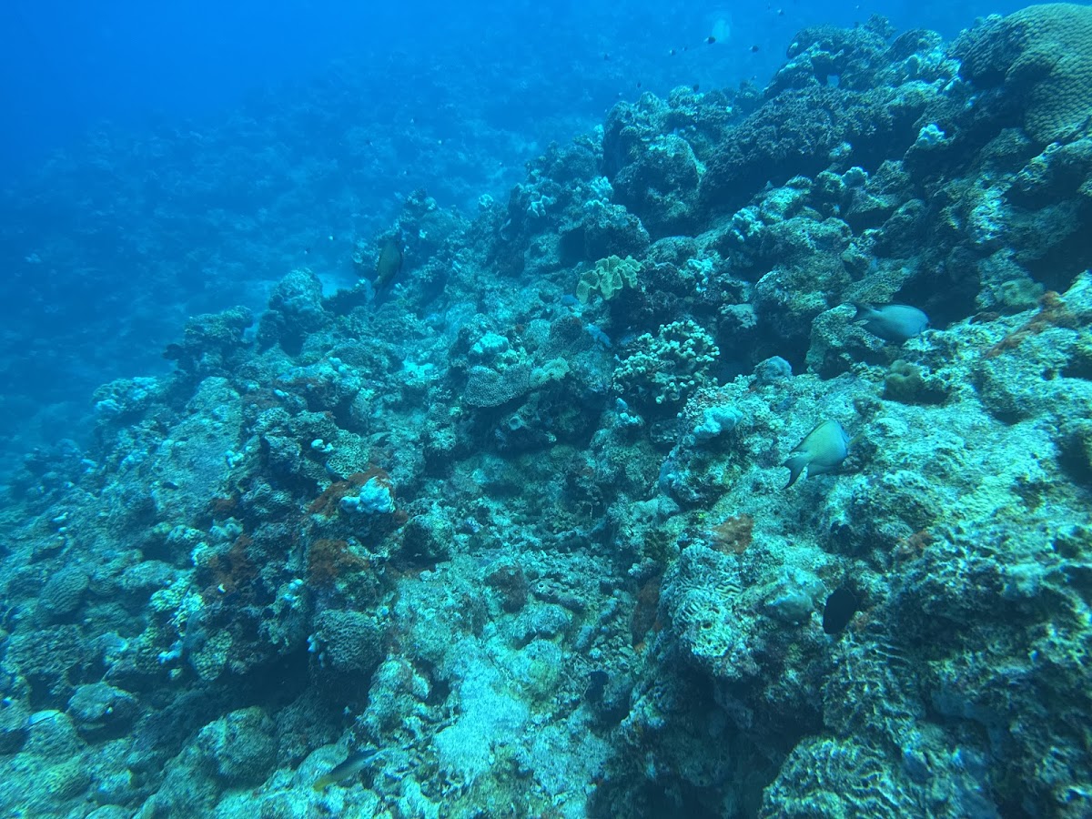 La Plage Beach Resort