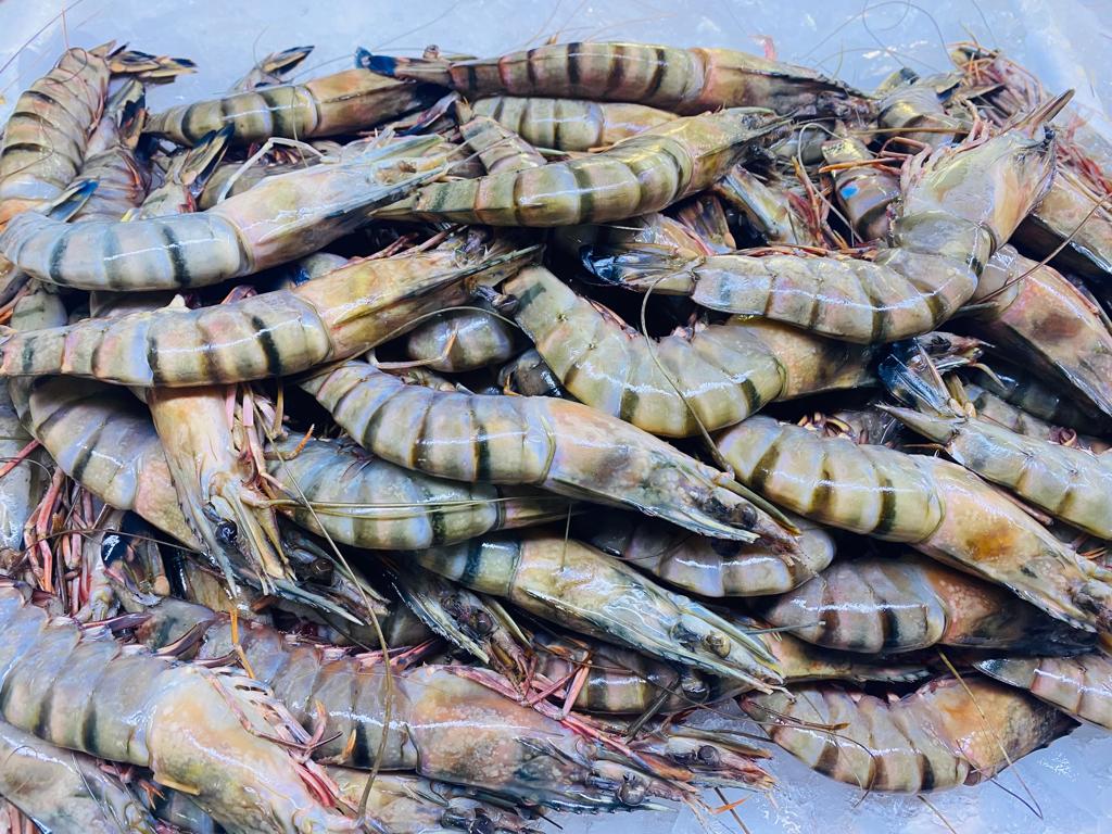 مطعم المحيط