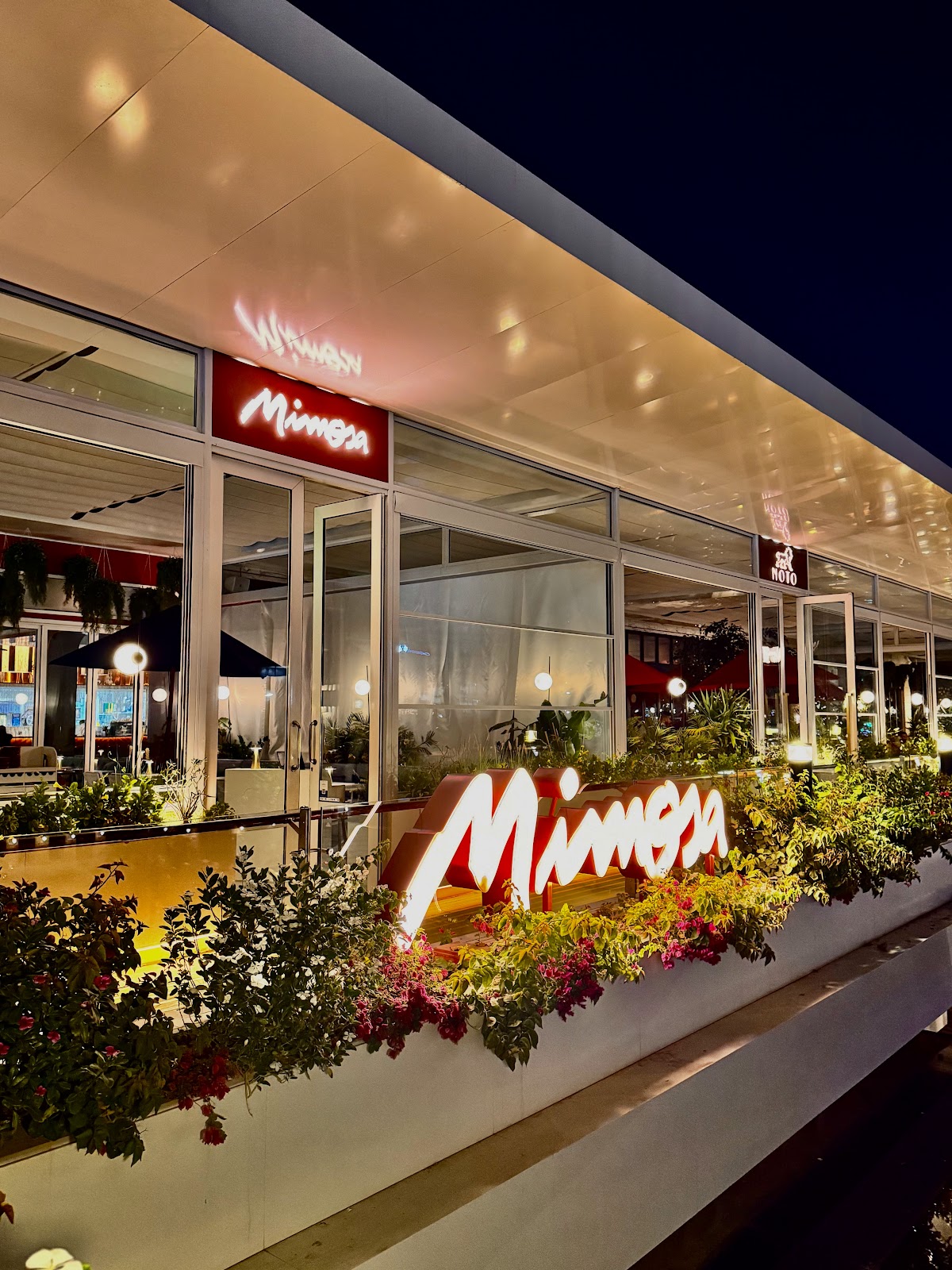 Mimosa Jeddah - ميموزا جدة