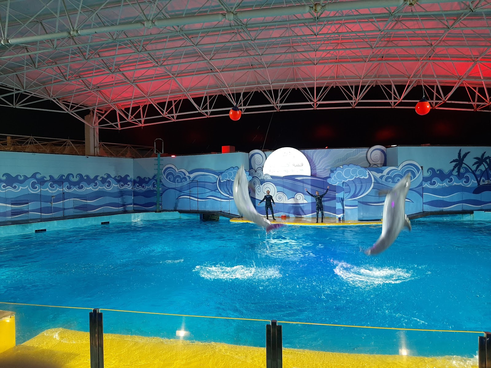 Fakieh Aquarium - Kids Places in Jeddah - 4